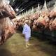 Santander es la zona líder en exportación de carne a Rusia - Vanguardia Liberal