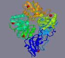 <b>Factor IX</b> is shown below.