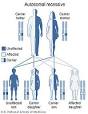 <b>Niemann</b>–<b>Pick disease</b>