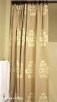 Painted Shower Curtain