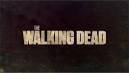 The Walking Dead (TV series) - Wikipedia, the free encyclopedia