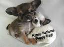 Its NATIONAL PUPPY DAY so Happy Puppy Day Friends!! - For the.
