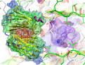 Enfermedades <b>amiloides</b>