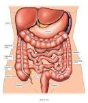 What is a <b>Colonoscopy</b>?