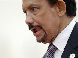 Quốc vương Brunei tự lái máy bay tới gặp Obama | Thời sự quốc tế ... - tulaimaybay_4a4ae