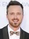 'Breaking Bad': Aaron Paul's Finale Charity Contest Adds Extra Winners After ...