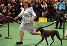 Westminster Dog Show: 2012's best-named dogs - The Style Blog ...