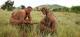 4.16 Million Total Viewers Tune Into 'Naked and Afraid' Premiere on Discovery ...