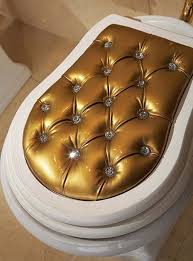 elaborate toilets,unique elaborate toilets,unique
