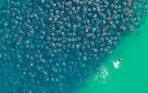 Cabo Pulmo Saved! Mexican President Calderón withdraws permit for ...