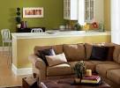 <b>Living Room Colors</b> - <b>Living Room Paint Colors</b> - Brown - Green