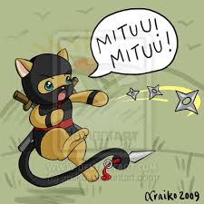 Miten the Ninja Kitten by