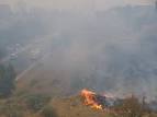 Carbon-Based: Wildfires rage across five states of parched US ...
