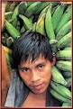 People of India man with bananas The habits, food, clothing and customs of ... - People-of-India-Man-with-Bananas