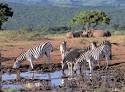 Premier Holidays - South Africa