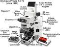 Molecular Expressions Microscopy Primer: Anatomy of the Microscope ...