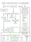 Novel <b>sequence analysis</b>