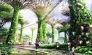 Solar-Powered Supertrees Sprout at Singapore's Gardens by the Bay ...