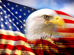 Bald Eagles, another species Bald Eagles, another species