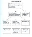 Infecciones neonatales