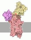 RCSB PDB-