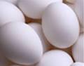 اكسر البيضه على وجه العضو او العضوه...بكل روح رياضية - صفحة 7 Images?q=tbn:ANd9GcSCLeK1mF04-riao-emnLSERLWahrR9BWGBID2RWodUuS8iO1-tMrgTyUQ