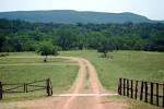 Phoenix Nest Guest Houses | charming hill country retreats