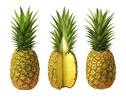 The Benefits of <b>Bromelain</b>