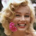 ¿Quien era mas guapa Marilyn Monroe o Sofia Loren? Images?q=tbn:ANd9GcSDpsaXuBKYf5zjrAypmehQHG1DistpLC4cm-NbTCtB7d302IDwNzduhQE