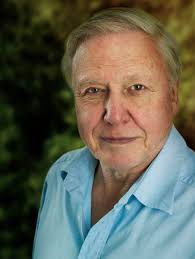 Der 87-jährige britische Tierfilmer und Naturforscher Sir <b>David Attenborough</b> <b>...</b> - 6048_13_20130911115453