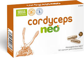 Image result for Neocordyceps