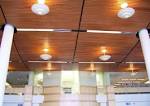 True™ Wood Ceiling Panels