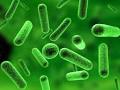 What is <b>viral meningitis</b>?