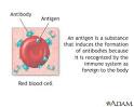 <b>Antigens</b>