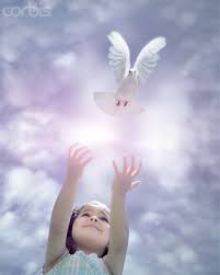 Blog de adonaivida : ADONAI VIDA, 2012 EU ESCOLHO DEUS TODO DIA....