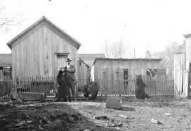 Greenville Texas circus bears Greenville Texas circus bears