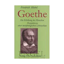 HIEBEL, FRIEDRICH Goethe, 7,90 €, Buchhandlung ENGEL Antiquariat