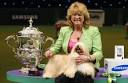 Coventry dog wins CRUFTS 2012 Best in Show title - Coventry News ...