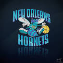 NBA Team NEW ORLEANS HORNETS by ~nbafan on deviantART