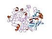 PDB 1htr EBI.jpg