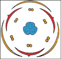 <b>Liliaceae</b> - Lily Family
