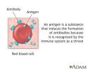 <b>Antigens</b>