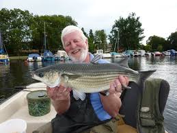 Hugh Miles enjoys great mullet sport at Christchurch Harbour | Sea