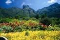 Kirstenbosch National Botanical Garden - Cape Town Tourism