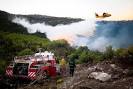Israel Says 4-Day Forest Fire Under Control - WSJ.