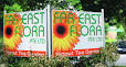 Far East Flora::. Make Someone Smile Today