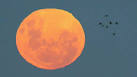Supermoon This Sunday: Look Out the Window to See Brightened Sky ...