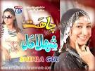 COM • ~:: Shehla Gul Album CHAHAT Full & High Quality ::~ - 2n7dvlk