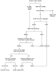 A New View of Occult and Obscure <b>Gastrointestinal Bleeding</b>