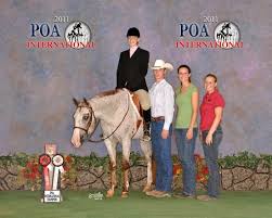 Ali/Ducky and MaryBeth had great success in the Hunter Under Saddle classes with a win in Junior Hunter Under Saddle, Reserve in the Junior Hunter Under ... - ducky%202010%20internationl%20pic
